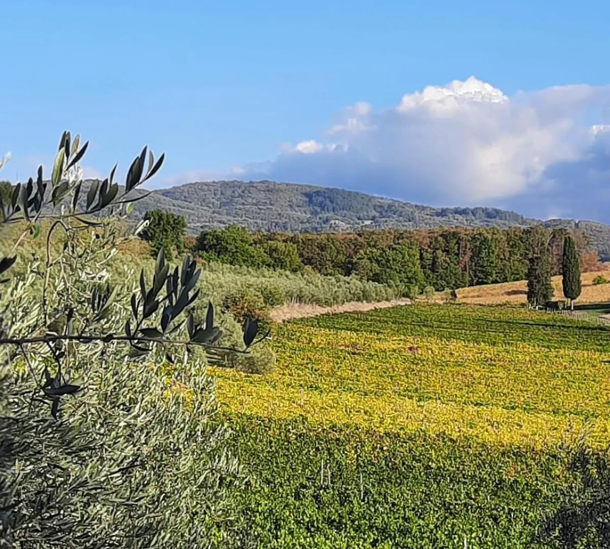 Agriturismo Circugnano Grassina Farm stay