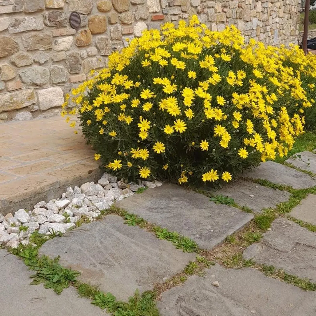Agriturismo Circugnano Grassina 0*,  Italy