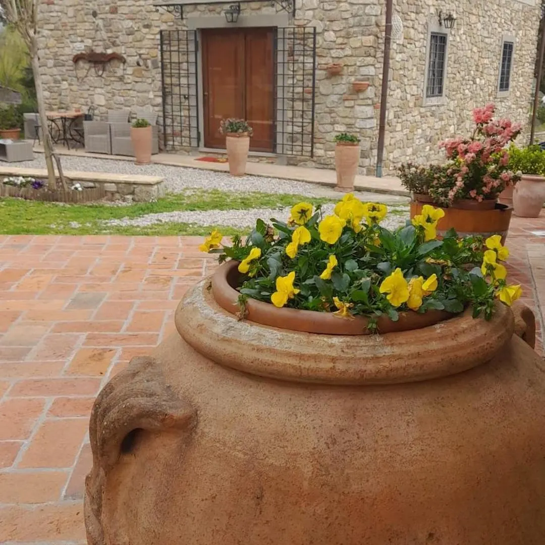 Agriturismo Circugnano Grassina 0*,  Italia