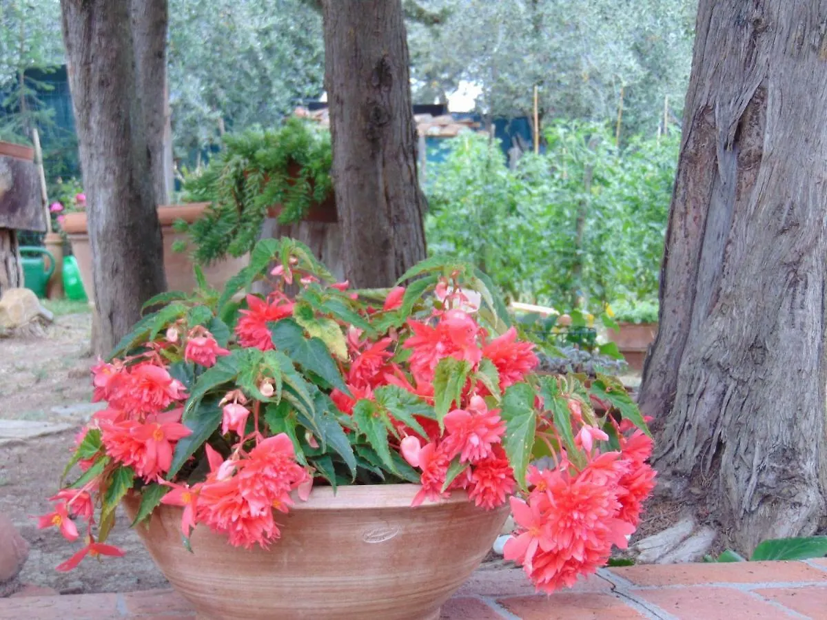 Agriturismo Circugnano Grassina Alloggio per agriturismo