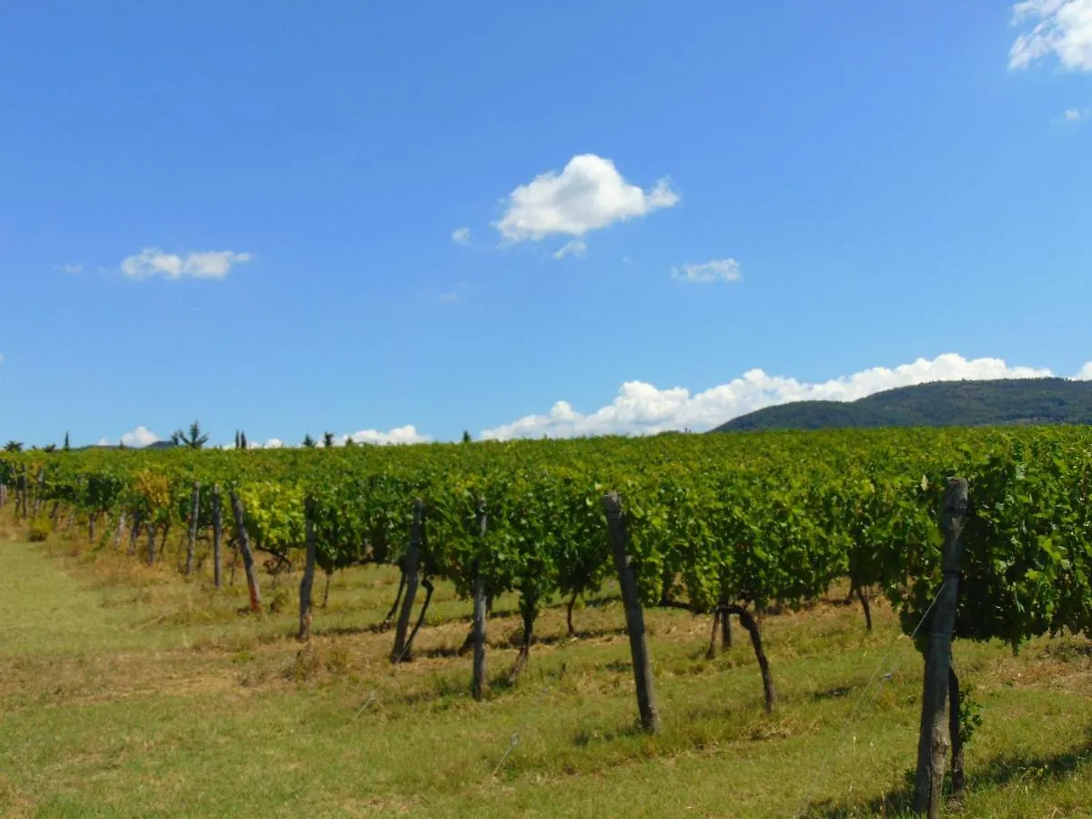 Agriturismo Circugnano Grassina Alloggio per agriturismo