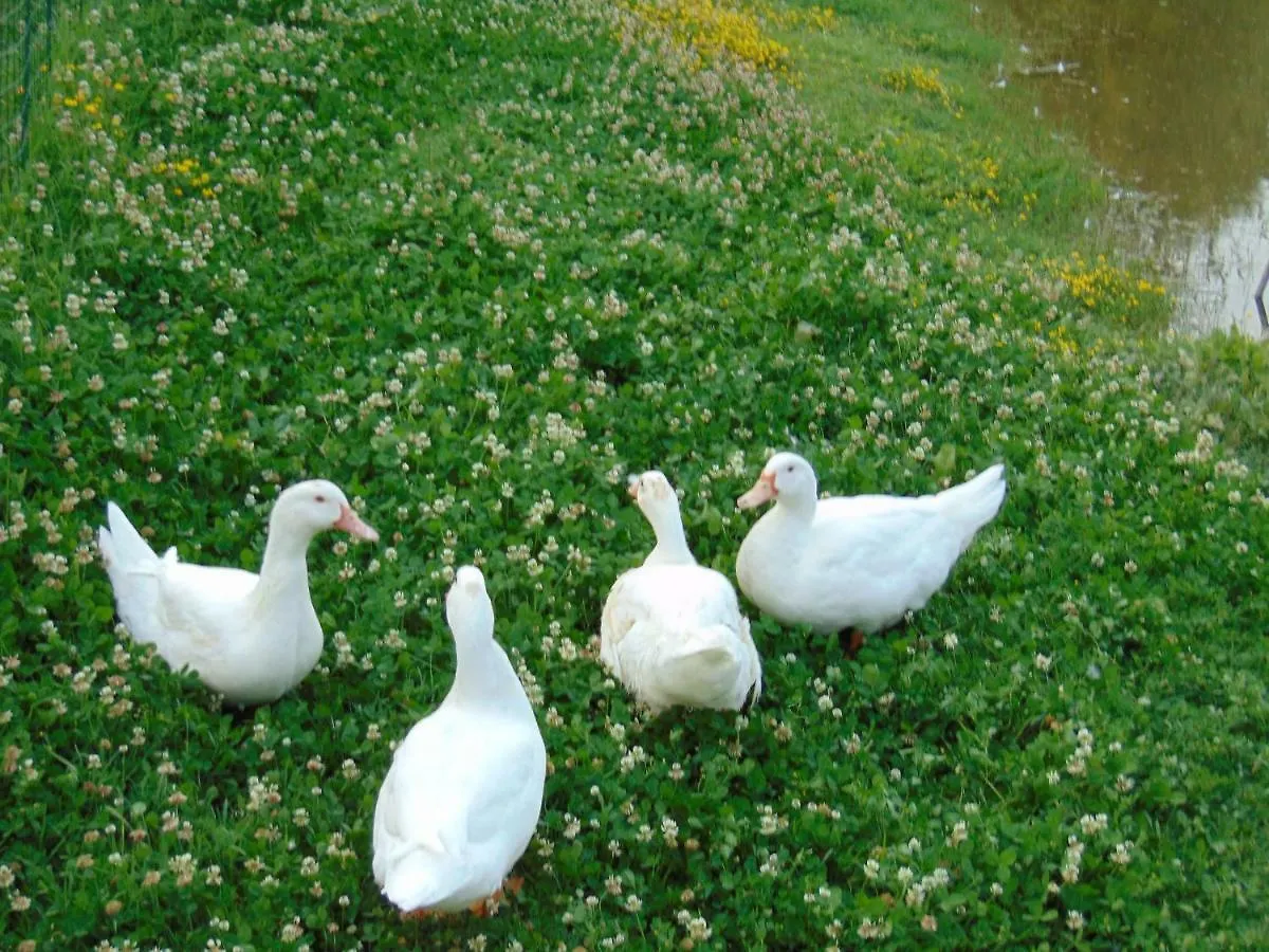 Agriturismo Circugnano Grassina